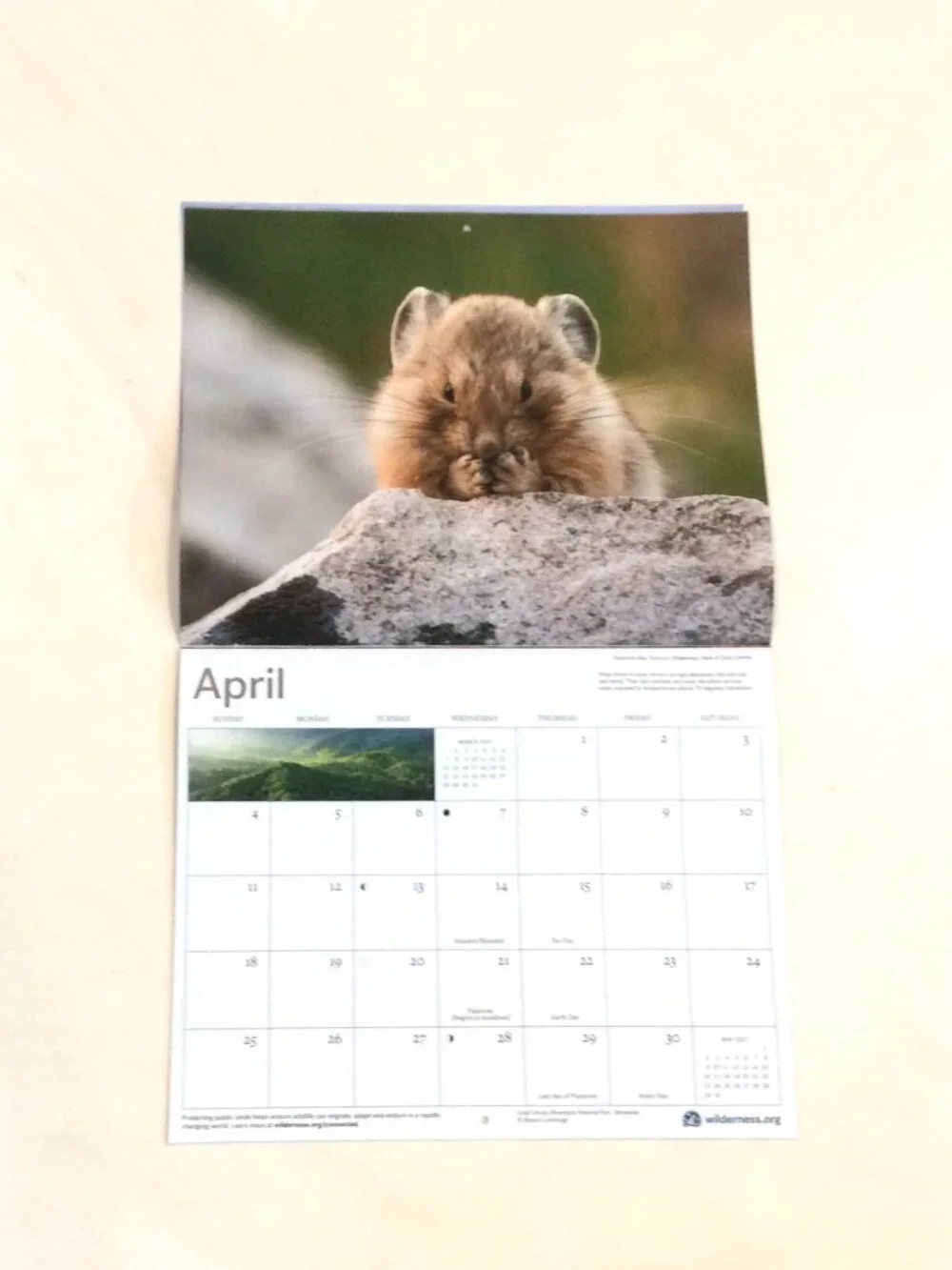 2027 The Wilderness Society 16-Month Wall Calendar Animals/Nature/Photography